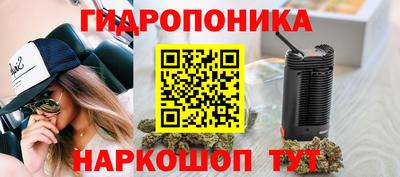 стафф Пыть-Ях