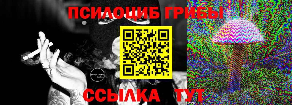 Галлюциногенные грибы Psilocybe  Галлюциногенные грибы Psilocybine cubensis  Вход с VPN  Ялта 