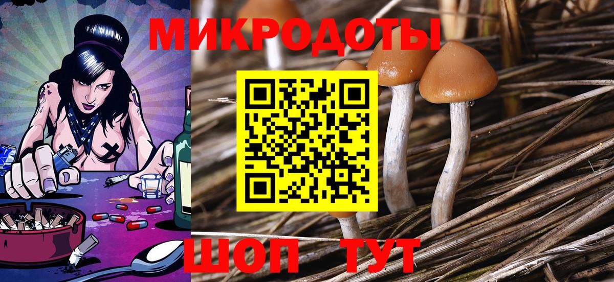 Псилоцибиновые грибы Psilocybine cubensis Ялта
